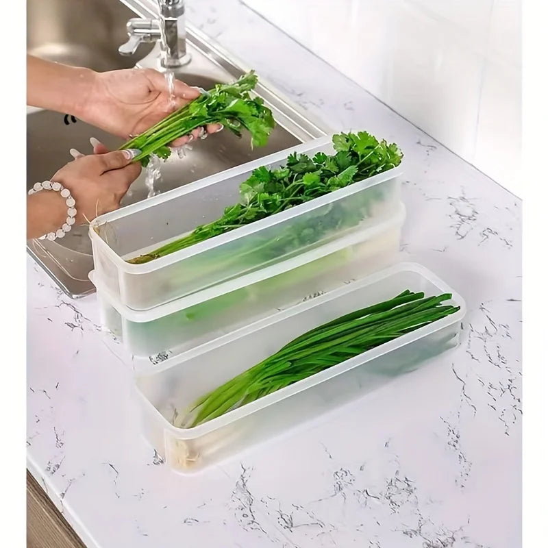 Pote Hermético para Geladeira com Tampa Vedada