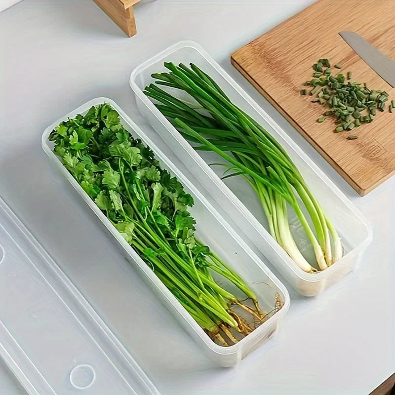 Pote Hermético para Geladeira com Tampa Vedada