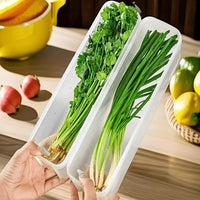 Pote Hermético para Geladeira com Tampa Vedada