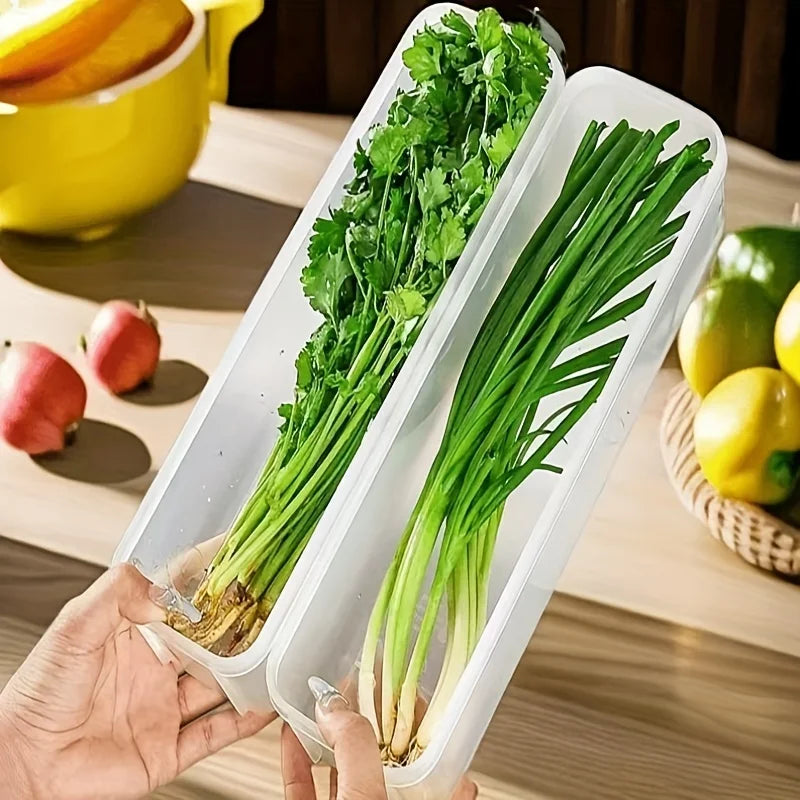 Pote Hermético para Geladeira com Tampa Vedada
